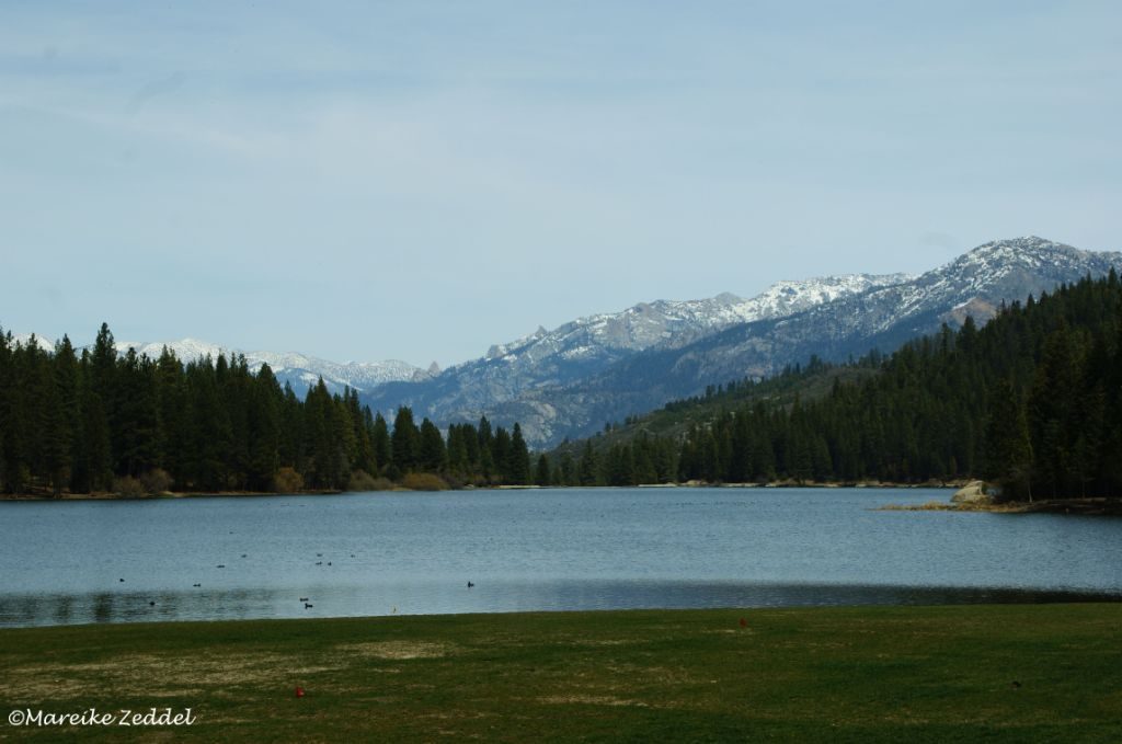Blick auf Hume Lake