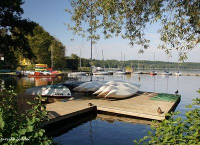 Ruderboote und Boote am See in Ratzeburg
